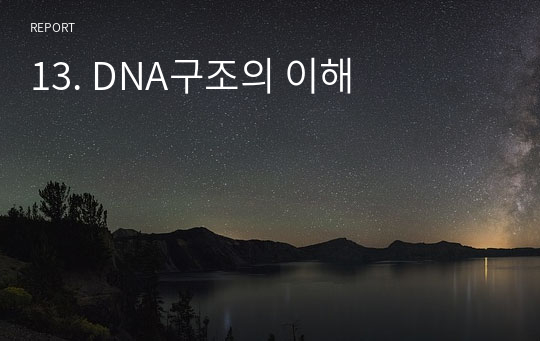 13. DNA구조의 이해