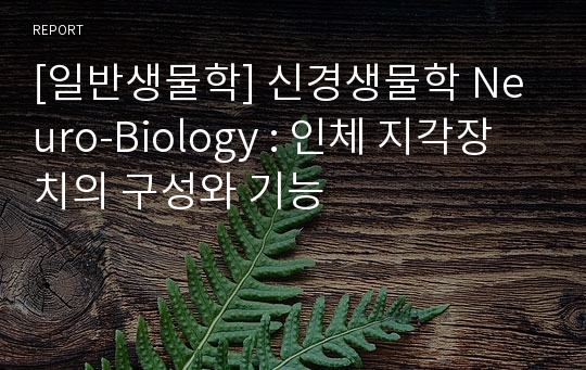 [일반생물학] 신경생물학 Neuro-Biology : 인체 지각장치의 구성와 기능