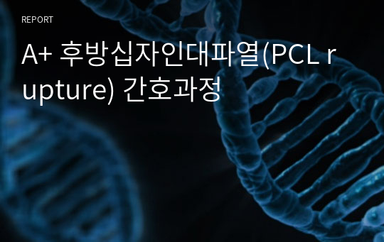 A+ 후방십자인대파열(PCL rupture) 간호과정