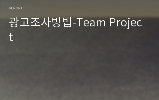 광고조사방법-Team Project