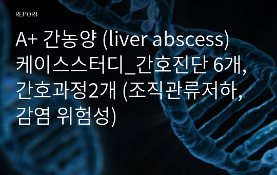 A+ 간농양 (liver abscess) 케이스스터디_간호진단 6개, 간호과정2개 (조직관류저하, 감염 위험성)