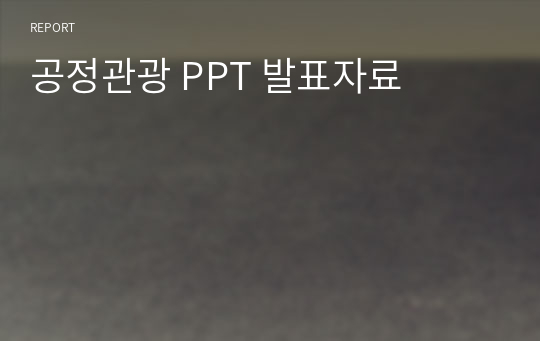 공정관광 PPT 발표자료