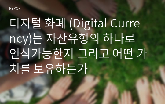 디지털 화폐 (Digital Currency)는 자산유형의 하나로 인식가능한지 그리고 어떤 가치를 보유하는가