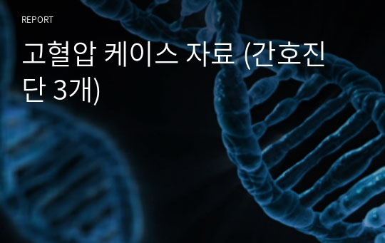 고혈압 케이스 자료 (간호진단 3개)