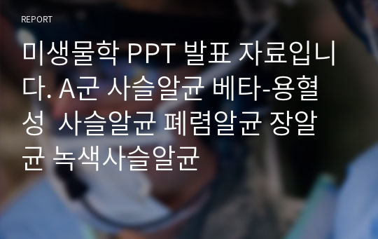 [미생물학] A군 사슬알균 베타-용혈성, 사슬알균, 폐렴알균, 장알균, 녹색사슬알균 [조별과제, 레포트, ppt 발표자료]