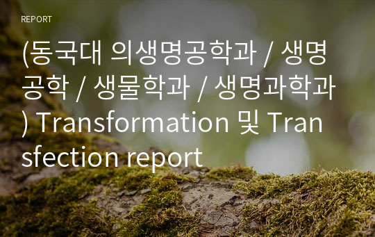 (동국대 의생명공학과 / 생명공학 / 생물학과 / 생명과학과) Transformation 및 Transfection report