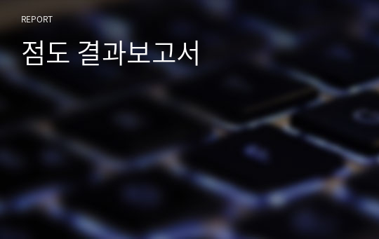 점도 결과보고서