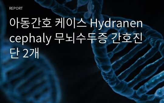 아동간호 케이스 Hydranencephaly 무뇌수두증 간호진단 2개