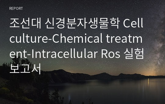 조선대 신경분자생물학 Cell culture-Chemical treatment-Intracellular Ros 실험보고서