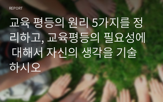 교육 평등의 원리 5가지를 정리하고, 교육평등의 필요성에 대해서 자신의 생각을 기술하시오