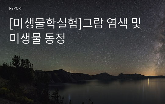 [미생물학실험]그람 염색 및 미생물 동정