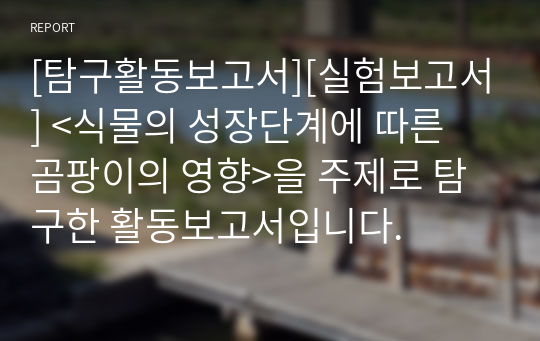 [탐구활동보고서][실험보고서] &lt;식물의 성장단계에 따른 곰팡이의 영향&gt;을 주제로 탐구한 활동보고서입니다.