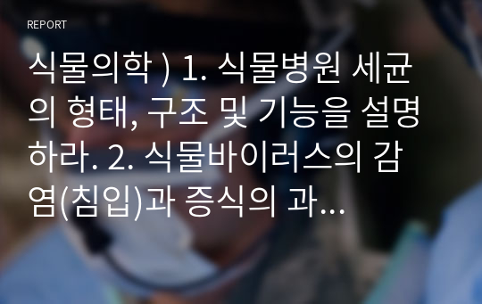 식물의학 ) 1. 식물병원 세균의 형태, 구조 및 기능을 설명하라. 2. 식물바이러스의 감염(침입)과 증식의 과정을 설명하라.