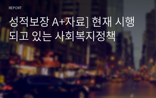 성적보장 A+자료] 현재 시행되고 있는 사회복지정책