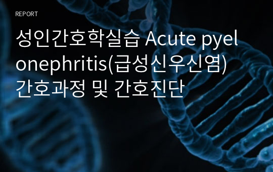 성인간호학실습 Acute pyelonephritis(급성신우신염) 간호과정 및 간호진단