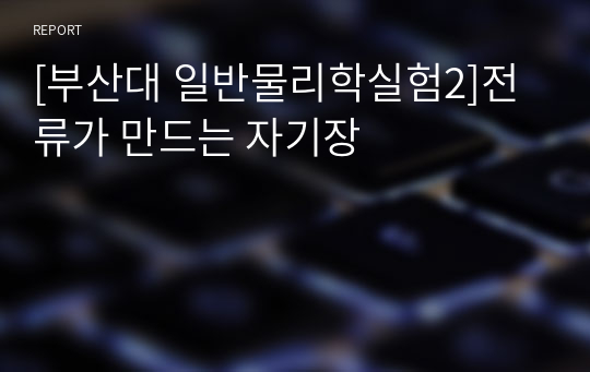 [부산대 일반물리학실험2]전류가 만드는 자기장