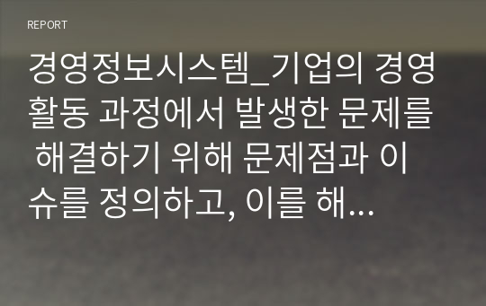 경영정보시스템_기업의 경영활동 과정에서 발생한 문제를 해결하기 위해 문제점과 이슈를 정의하고, 이를 해결하기 위한 노력을 설명하세요