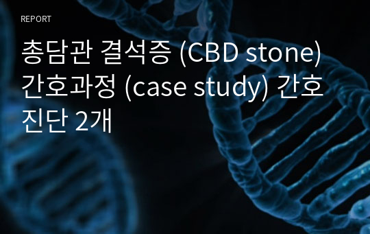 총담관 결석증 (CBD stone) 간호과정 (case study) 간호진단 2개
