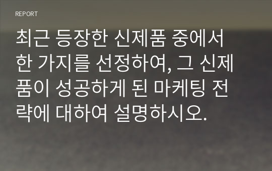 최근 등장한 신제품 중에서 한 가지를 선정하여, 그 신제품이 성공하게 된 마케팅 전략에 대하여 설명하시오.