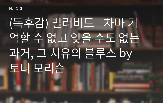 (독후감) 빌러비드 - 차마 기억할 수 없고 잊을 수도 없는 과거, 그 치유의 블루스 by 토니 모리슨