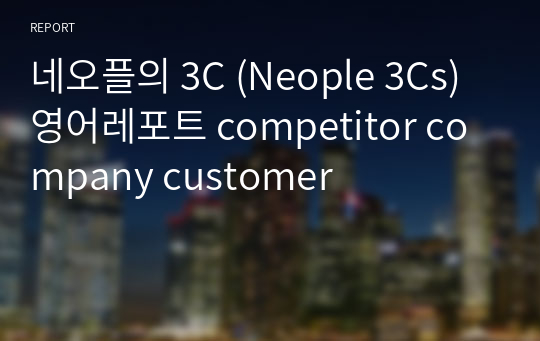 네오플의 3C (Neople 3Cs) 영어레포트 competitor company customer
