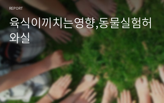 육식이끼치는영향,동물실험허와실