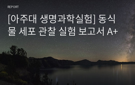 [아주대 생명과학실험] 동식물 세포 관찰 실험 보고서