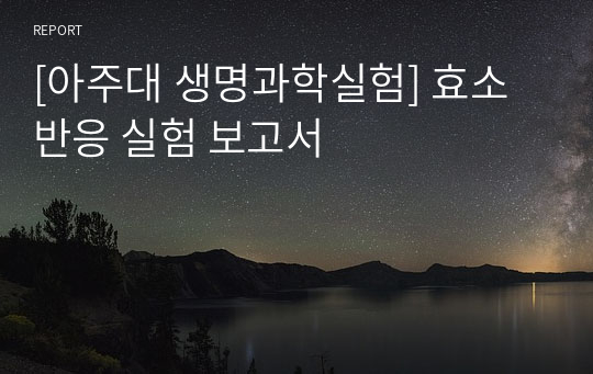 [아주대 생명과학실험] 효소 반응 실험 보고서