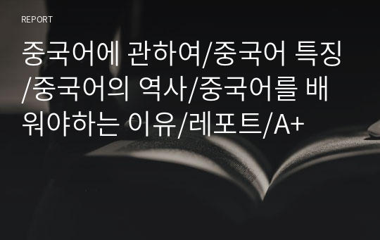 중국어에 관하여/중국어 특징/중국어의 역사/중국어를 배워야하는 이유/레포트/A+