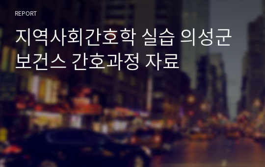 지역사회간호학 실습 의성군 보건스 간호과정 자료