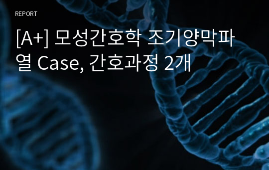 [A+] 모성간호학 조기양막파열 Case, 간호과정 2개