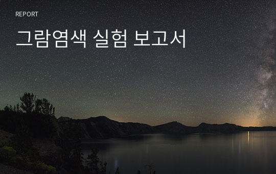 그람염색 실험 보고서