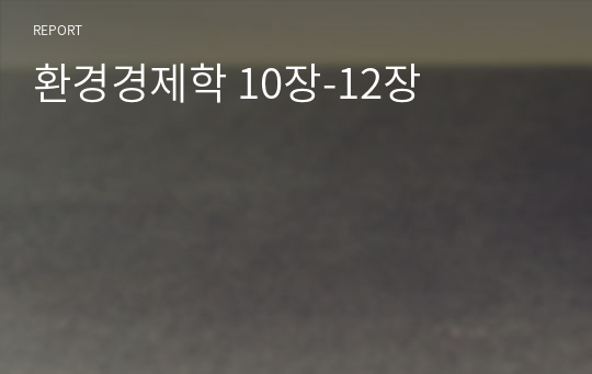 환경경제학 10장-12장