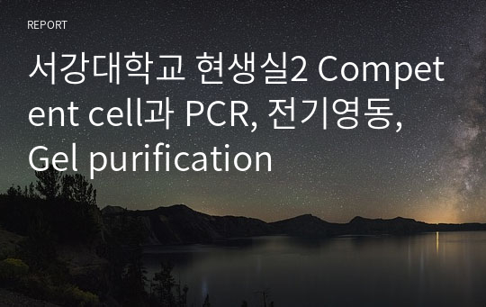 서강대학교 현생실2 Competent cell과 PCR, 전기영동, Gel purification