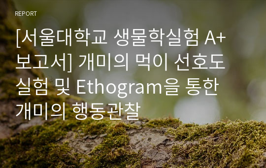 [서울대학교 생물학실험 A+ 보고서] 개미의 먹이 선호도 실험 및 Ethogram을 통한 개미의 행동관찰