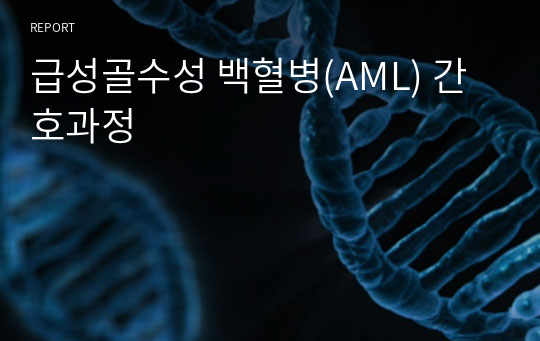 급성골수성 백혈병(AML) 간호과정