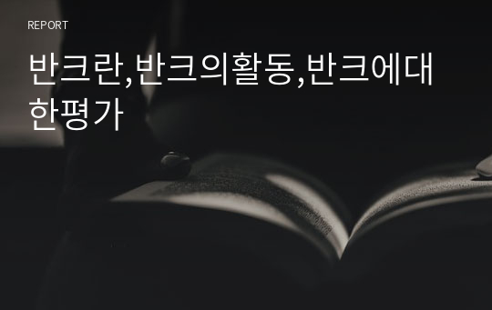 반크란,반크의활동,반크에대한평가