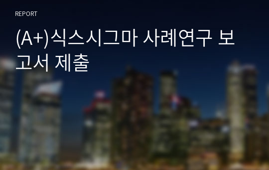 (A+)식스시그마 사례연구 보고서 제출