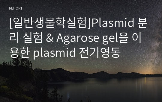 [일반생물학실험]Plasmid 분리 실험 &amp; Agarose gel을 이용한 plasmid 전기영동