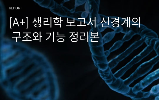 [A+] 생리학 보고서 신경계의 구조와 기능 정리본