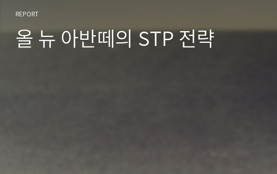 올 뉴 아반떼의 STP 전략