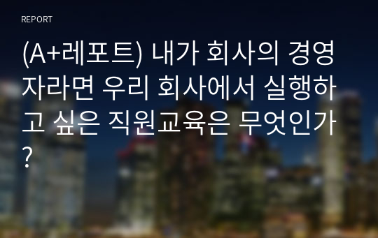 (A+레포트) 내가 회사의 경영자라면 우리 회사에서 실행하고 싶은 직원교육은 무엇인가?