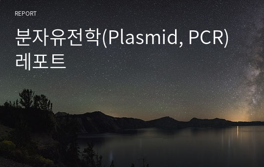 분자유전학(Plasmid, PCR) 레포트