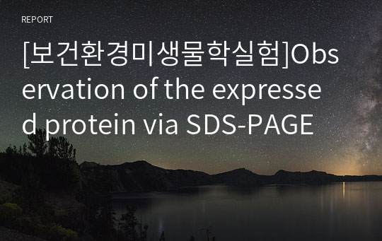 [보건환경미생물학실험]Observation of the expressed protein via SDS-PAGE