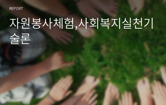 자원봉사체험,사회복지실천기술론