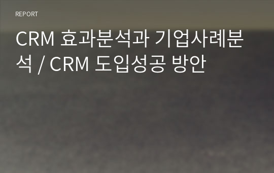 CRM 효과분석과 기업사례분석 / CRM 도입성공 방안