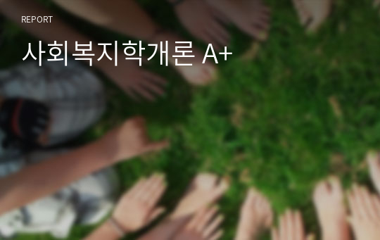 사회복지학개론 A+