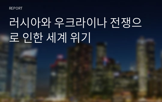 러시아와 우크라이나 전쟁으로 인한 세계 위기