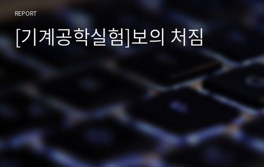 [기계공학실험]보의 처짐