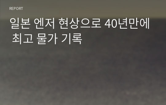 일본 엔저 현상으로 40년만에 최고 물가 기록